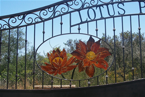 Lotus Pond Gate Close Up